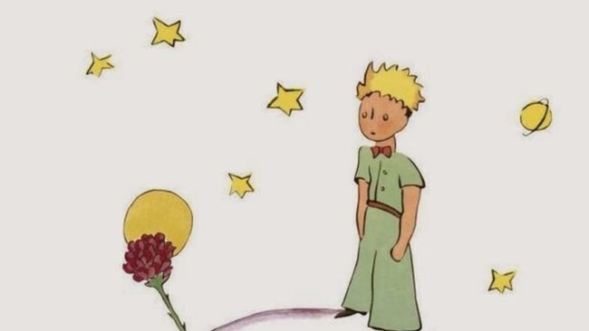 Zona Lunera El Principito